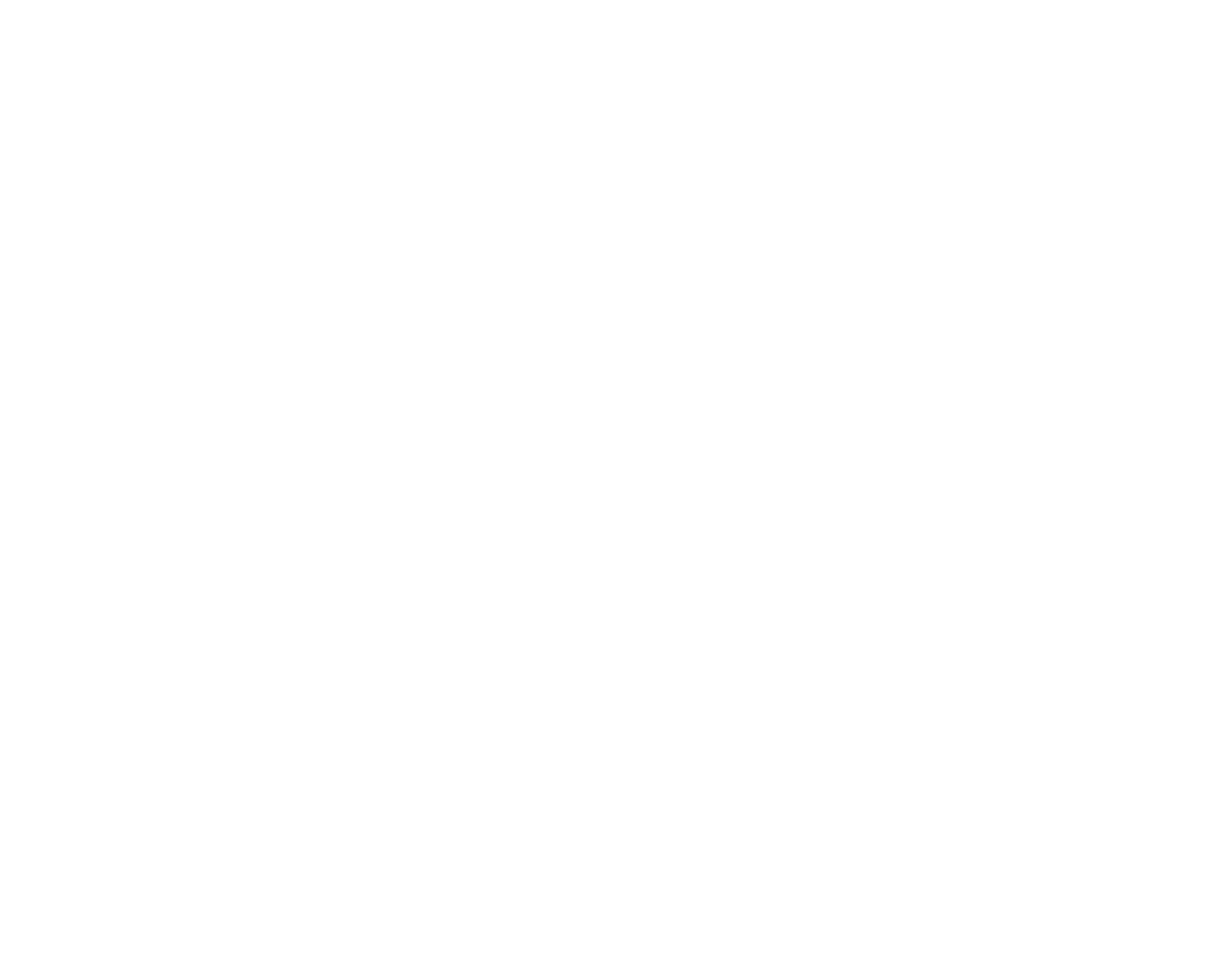 Ipse de Bruggen